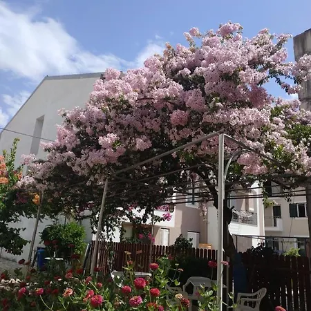 Jenny * Nydri (Lefkada)